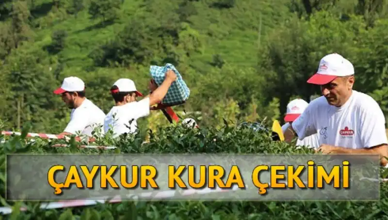 Çaykur Canlı Kura Sonuçları: İsim Listesi Nasıl Elde Edilir?