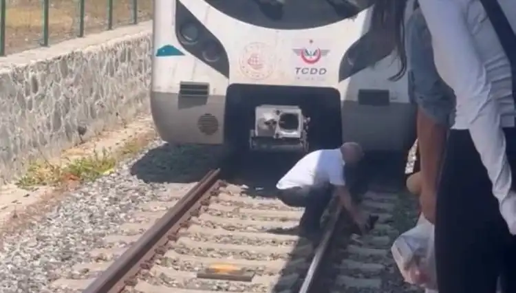 Raylardaki Kediyi Fark Eden Makinist, Marmaray'ı Durdurdu: Takdir Topladı