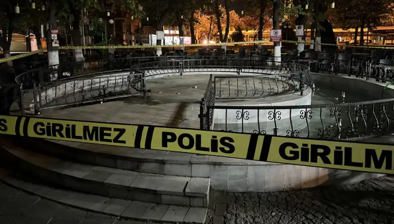 Kırklareli'nde Süs Havuzu Faciası: Sağlık Skandalı ve Sonrası