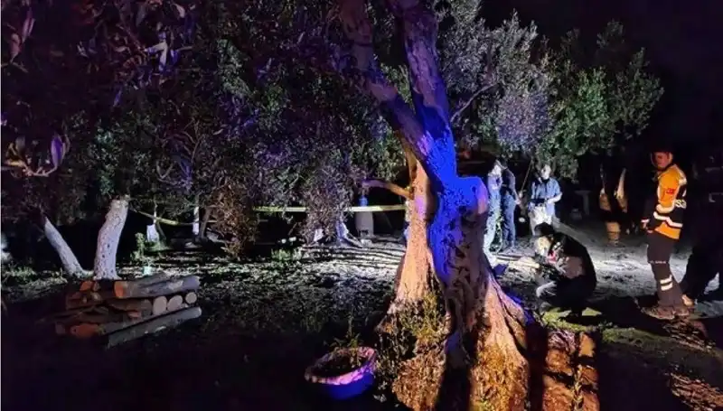 Çiftlikteki Vahşet: Baltalı Saldırı ve Tutuklama Gelişmeleri