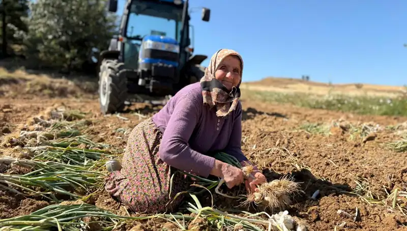 Selenyumun Keşfi: Türkiye'deki Tarımın Altın Değeri