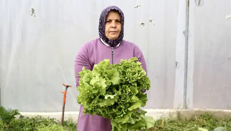 Emekli Olup Hayalini Gerçekleştiren Girişimci: Devlet Desteğiyle Memleketine Döndü