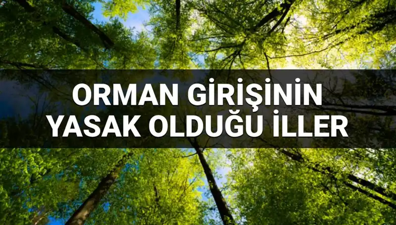 Türkiye'nin Ormanlarına Giriş Yasaklanan İller: 2025'te Değişen Kurallar