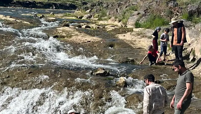 İnci Kefalinin Göçü: Doğanın Eşsiz Gösterisi ve Turizm Fırsatları