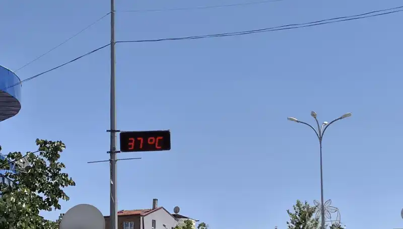 Termometreler 38 Dereceyi Gösterdi: Akıl ve Felsefe Üzerine Düşünceler