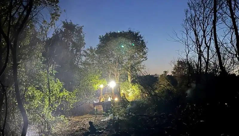Edirne'deki Orman Yangını: Kültürel ve Çevresel Yıkım Üzerine Derinlemesine Bir Bakış