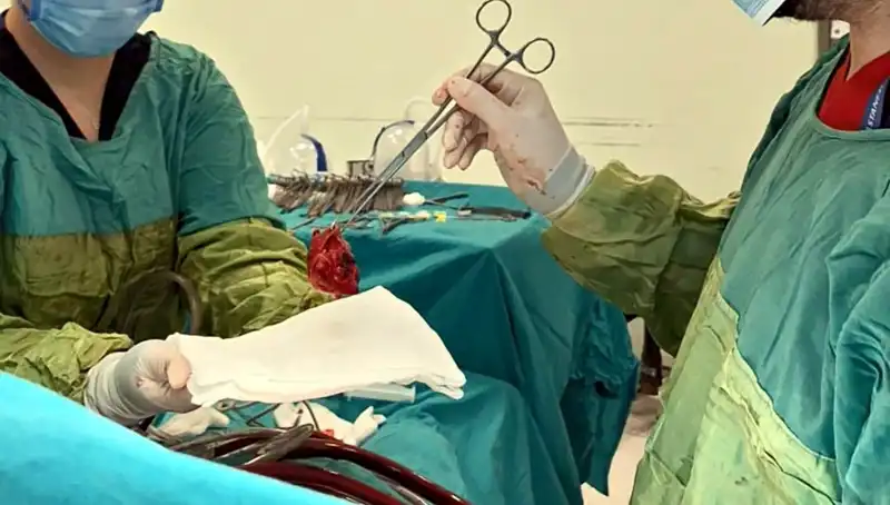 Kalp Kapağı Çürüyen Hastanın Zorlu Ameliyatı: Tıpta Mucizevi Bir Başarı