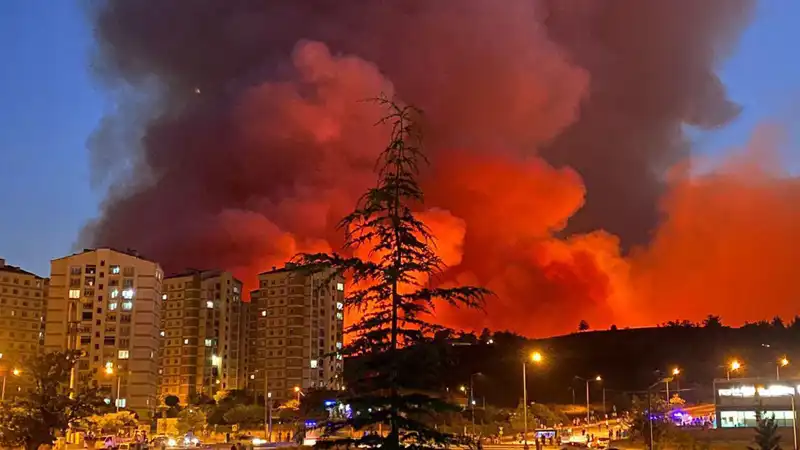 Bursa’da Yangınların Gizemi: Doğal Afet mi, İhmal mi?