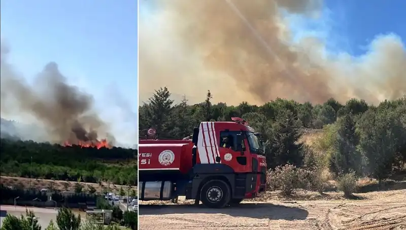 Gebze'de Başlayan Orman Yangını, Doğaya Zarar Veriyor!