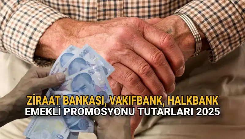 Emeklilere Özel: Kamu Bankalarının 2025 Promosyon Fırsatları Açıklandı