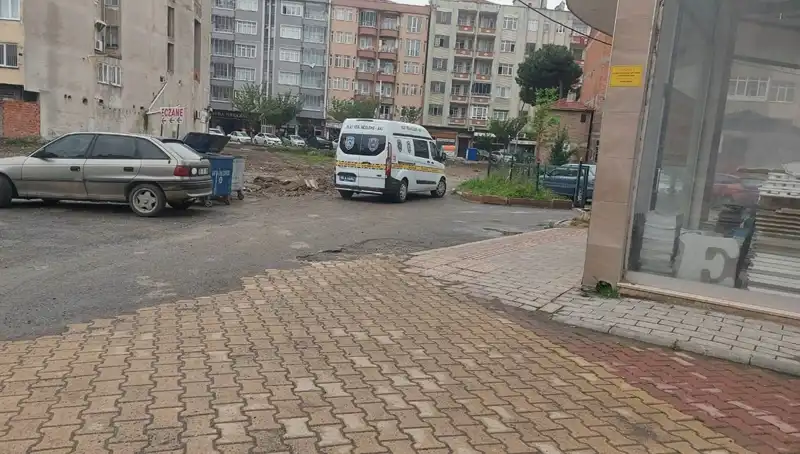 4. Kattan Düşen Kadın: Hayatı ve Varoluşuna Dair Derin Düşünceler