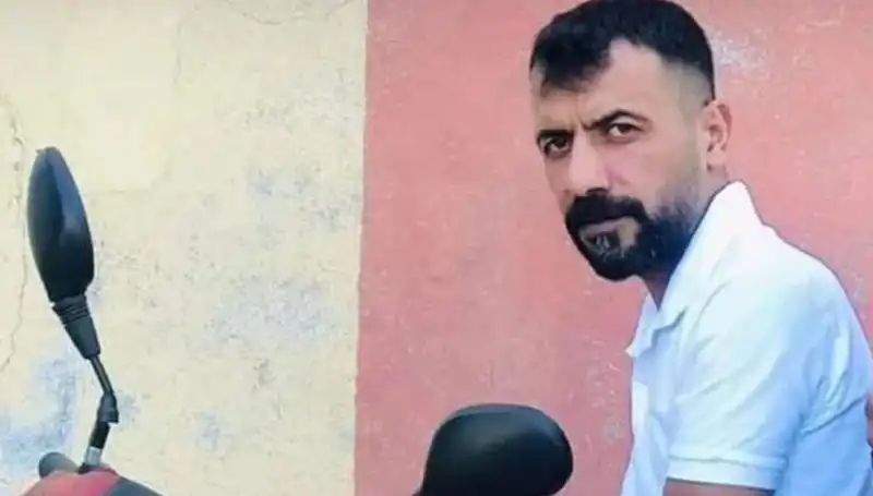 Yılan Isırığı: Hayat Kayıpları ve Felsefi Yansımaları Üzerine Dikkat Çekici Bir İnceleme