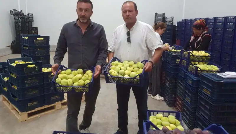 Mersinli Çiftçilerin Ekonomik Başarısı: 20 TL’den İhraç Edilen Ürünler
