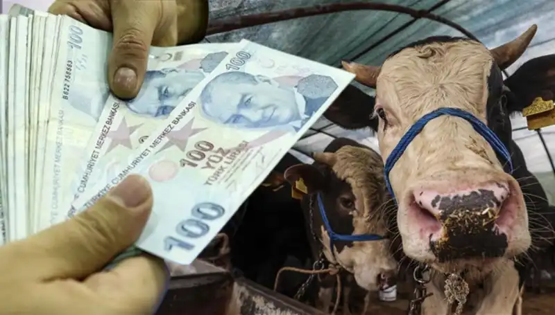 Kurban Bayramı’nda Maaşlar Ne Zaman Yatacak? Merak Uyandıran Detaylar!