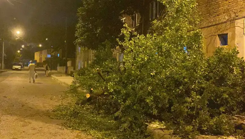 Karabük’te Fırtına: Doğa'nın Gücü Şehirde Hissedildi