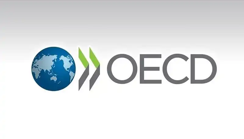 OECD Türkiye’nin Ekonomik Büyüme Tahminlerini Yeniden Gözden Geçirdi