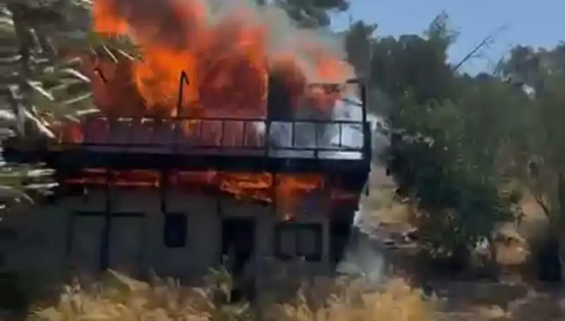 Bodrum'da Beklenmedik Yangın: Doğa ve İnsanın Sınavı